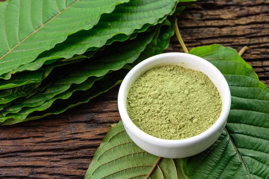 Kratom leaves with powdered product in a white ceramic bowl